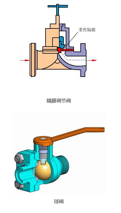 斯蒂芬韓國.png